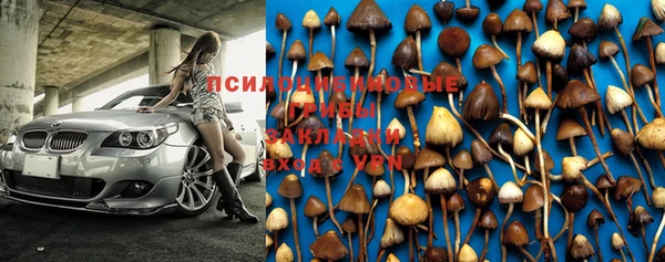 МДПВ Семилуки