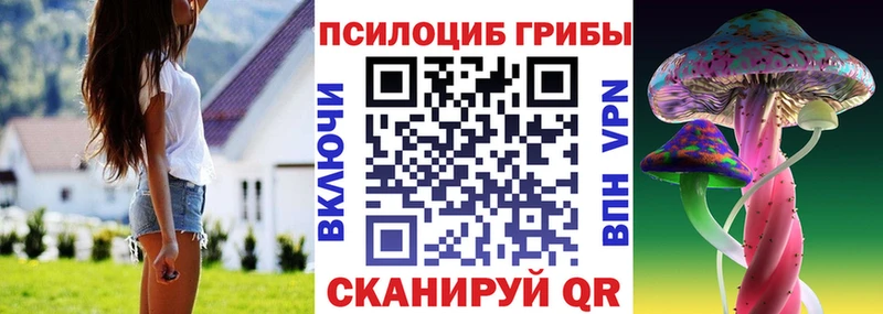 blacksprut сайт  Верея  Псилоцибиновые грибы Psilocybe 