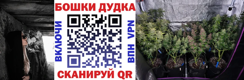 МАРИХУАНА план  Верея 